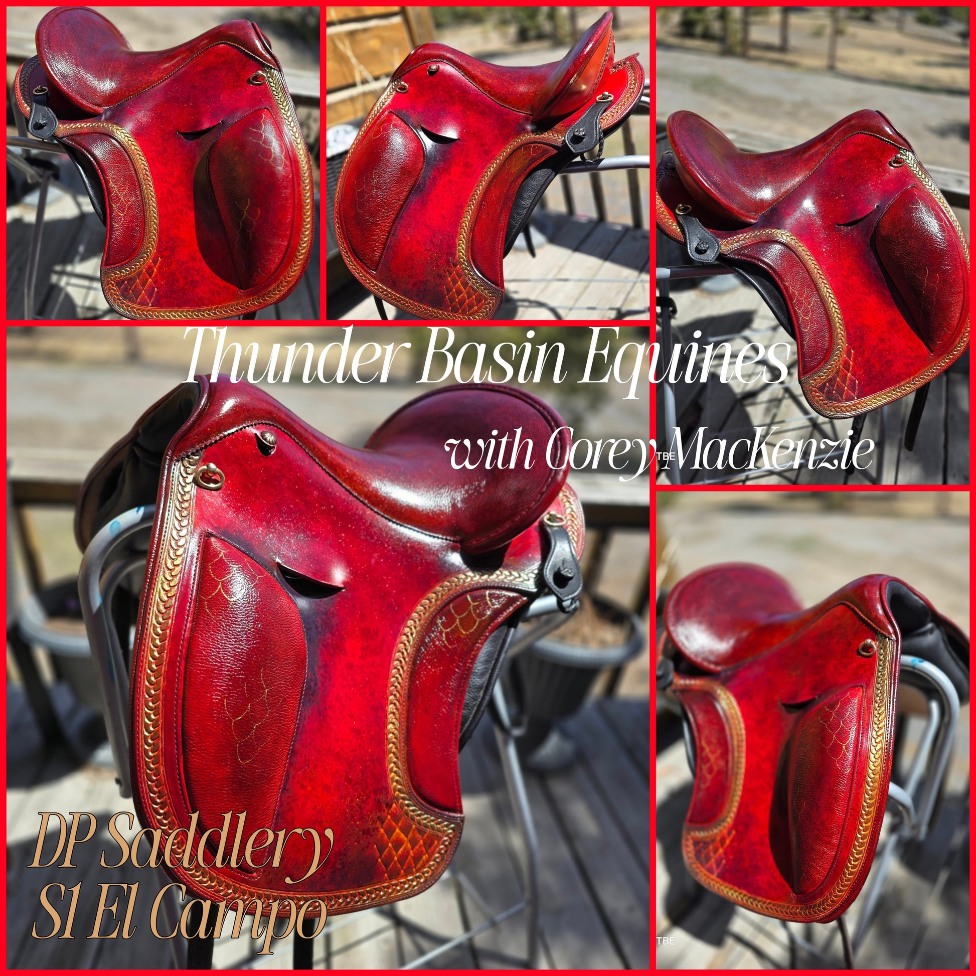 S1 Demo DP Saddlery El Campo Phoenix