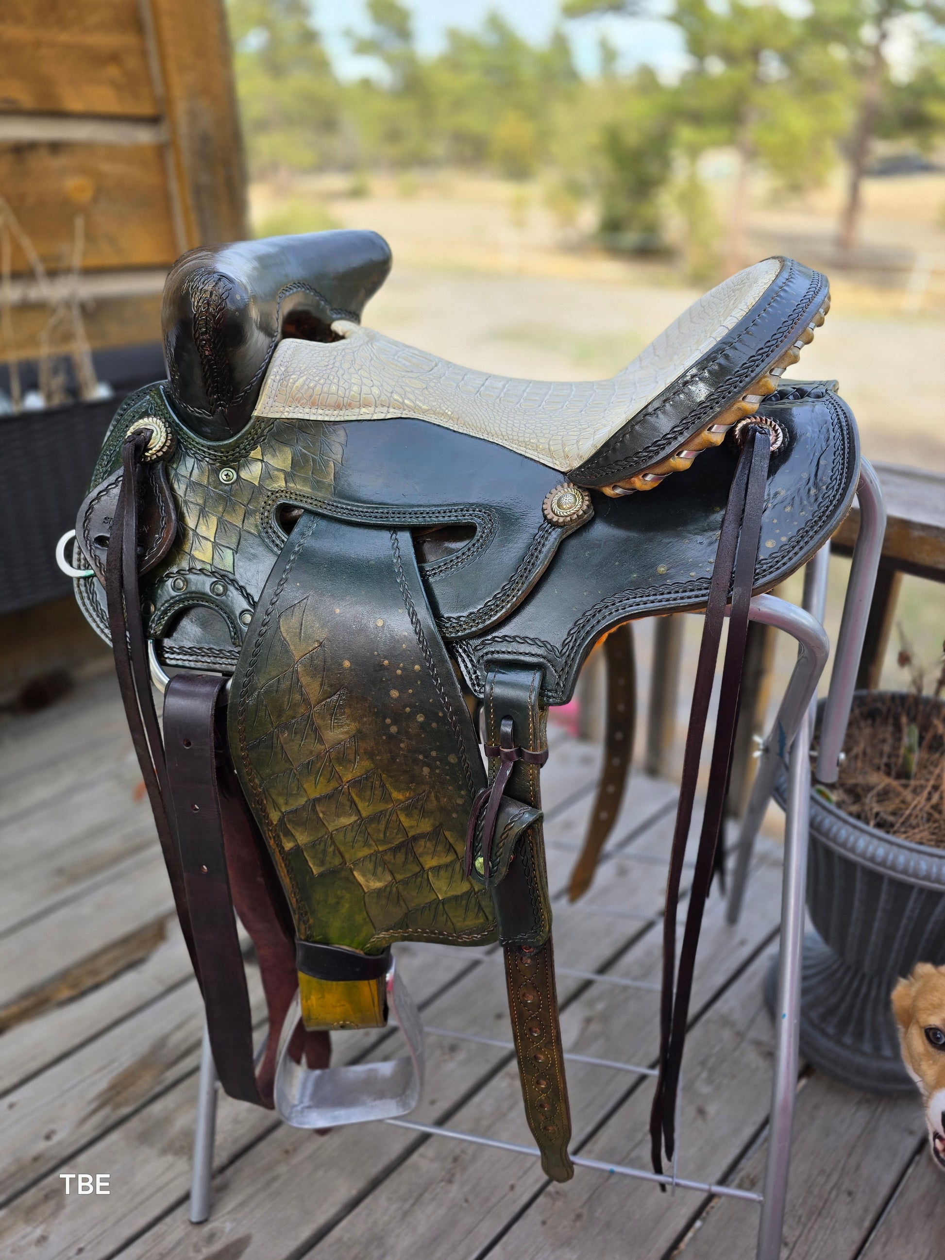 16" Demo Green Dragon - Sheridan Saddle Beartrap