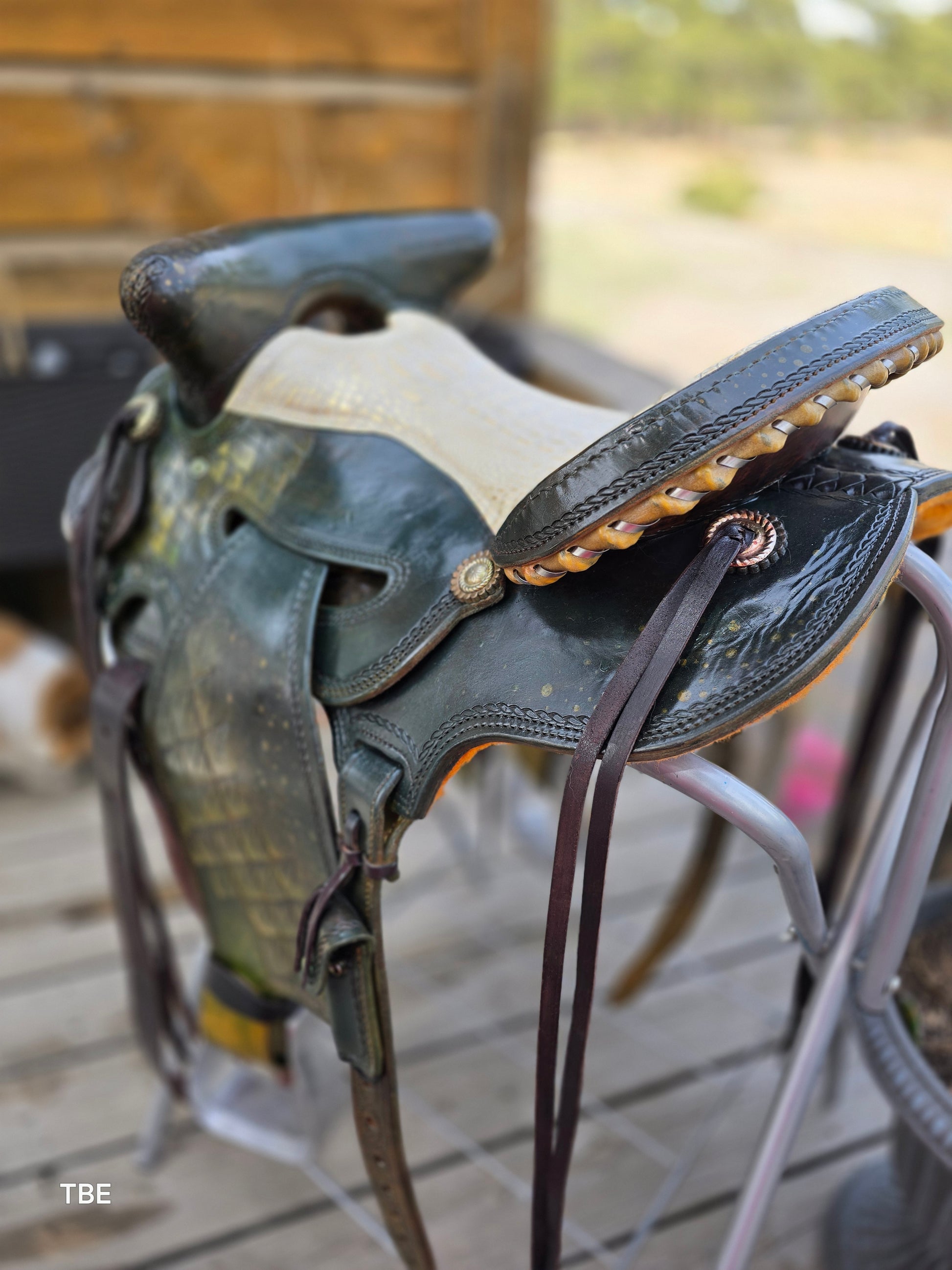 16" Demo Green Dragon - Sheridan Saddle Beartrap