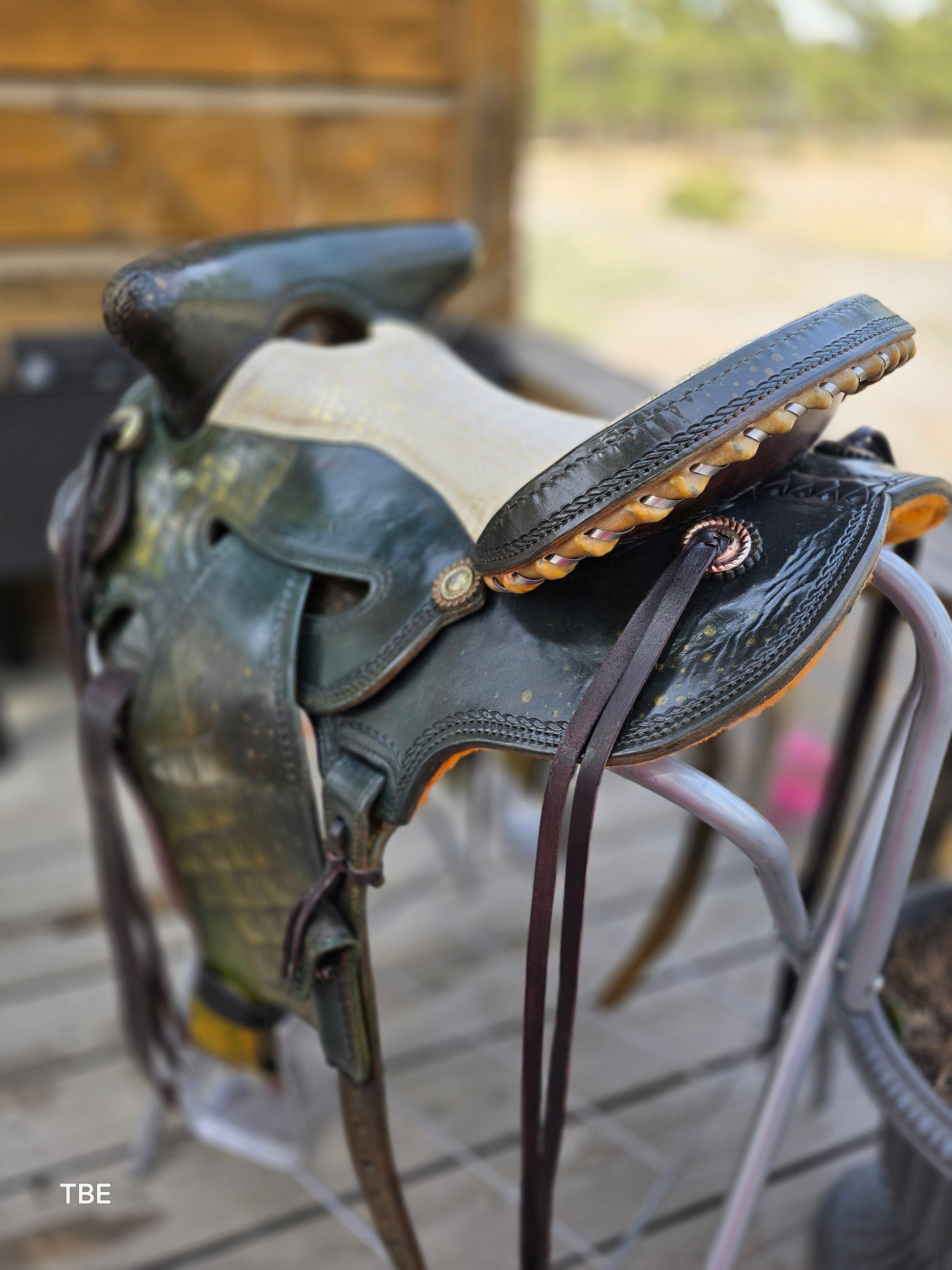 16" Demo Green Dragon - Sheridan Saddle Beartrap