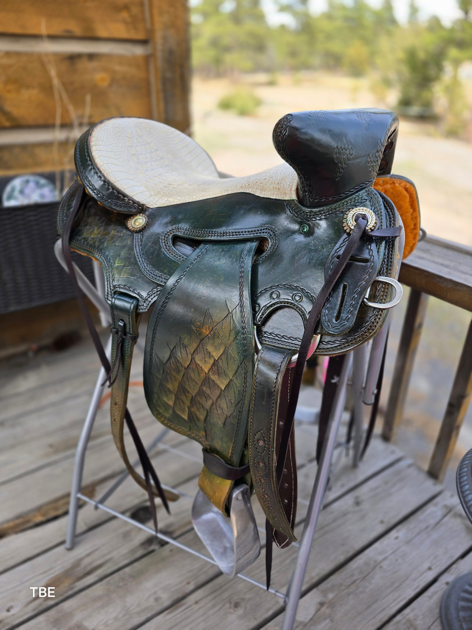 16" Demo Green Dragon - Sheridan Saddle Beartrap