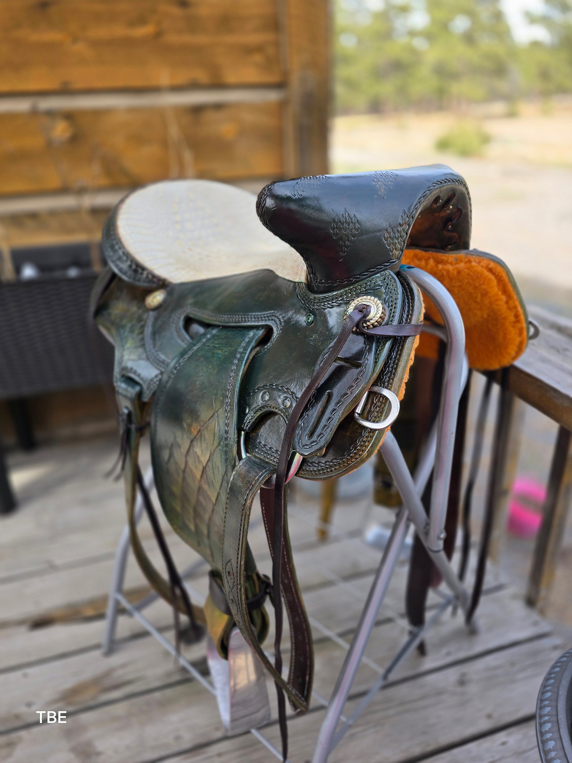 16" Demo Green Dragon - Sheridan Saddle Beartrap