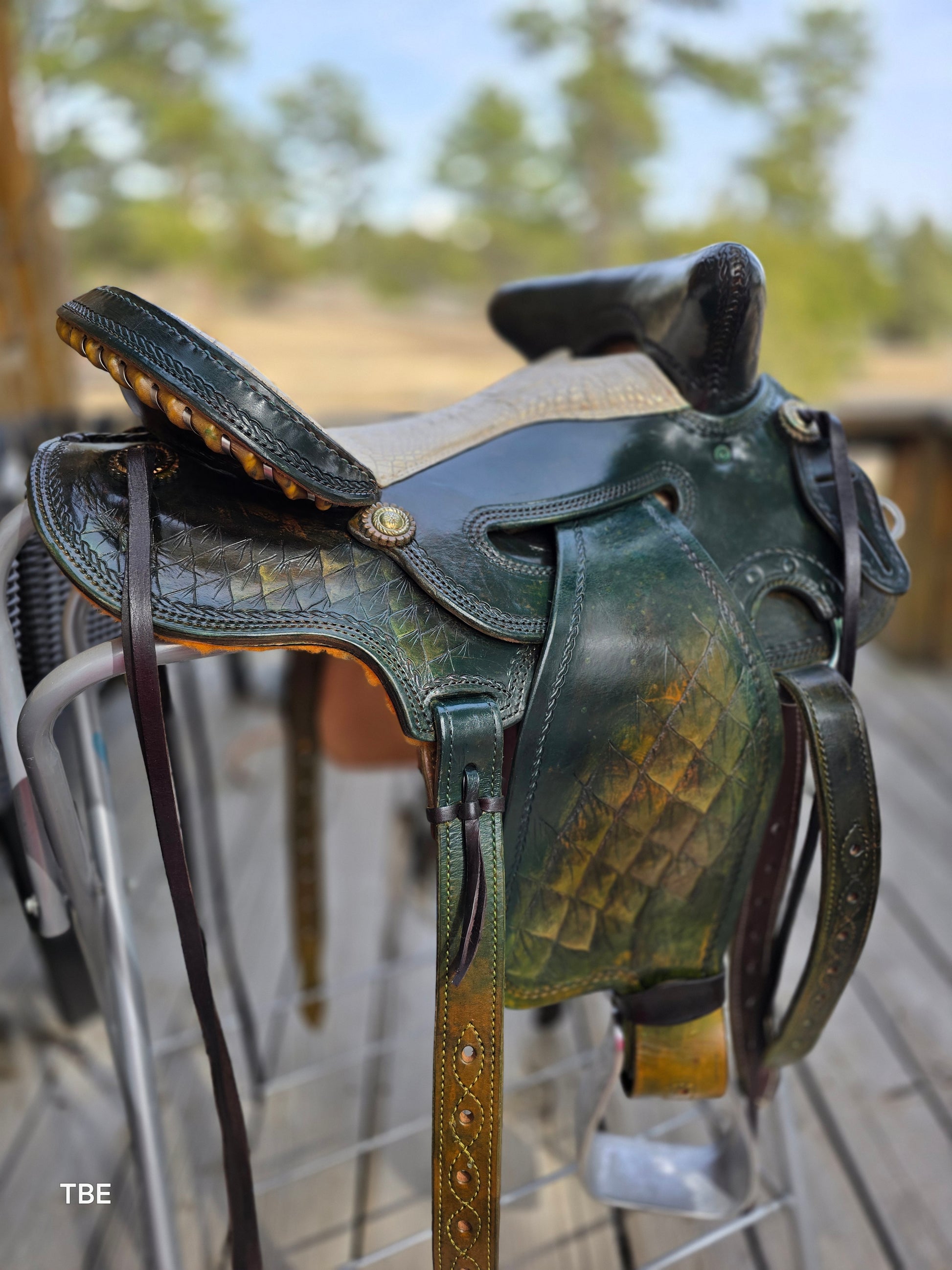 16" Demo Green Dragon - Sheridan Saddle Beartrap
