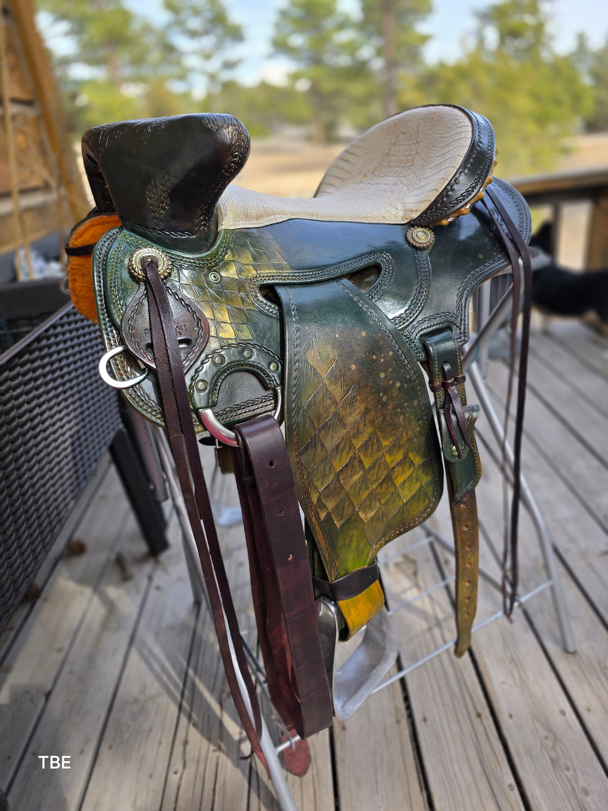 16" Demo Green Dragon - Sheridan Saddle Beartrap