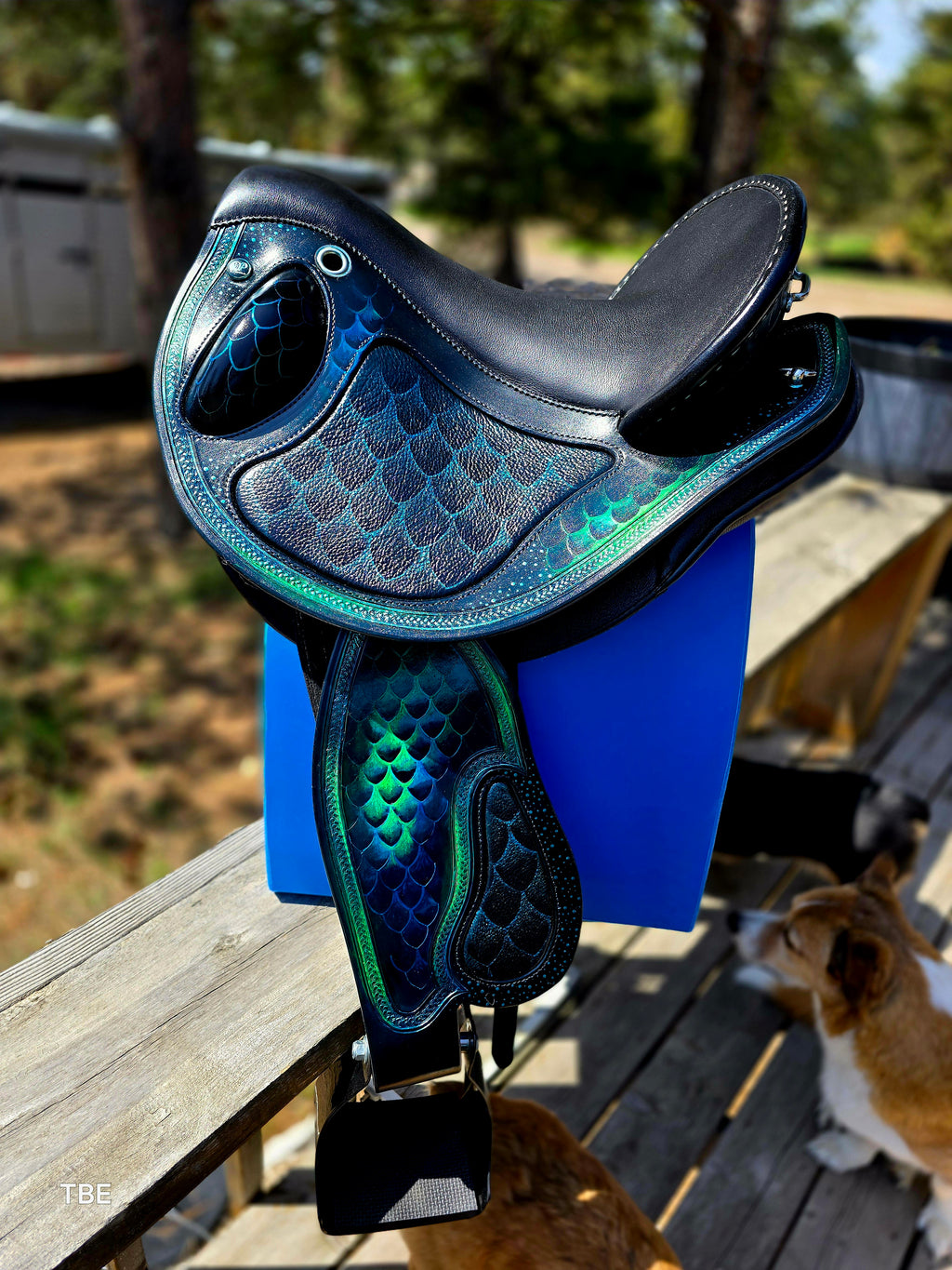 Custom DP Quantum Sport Electra Phoenix
