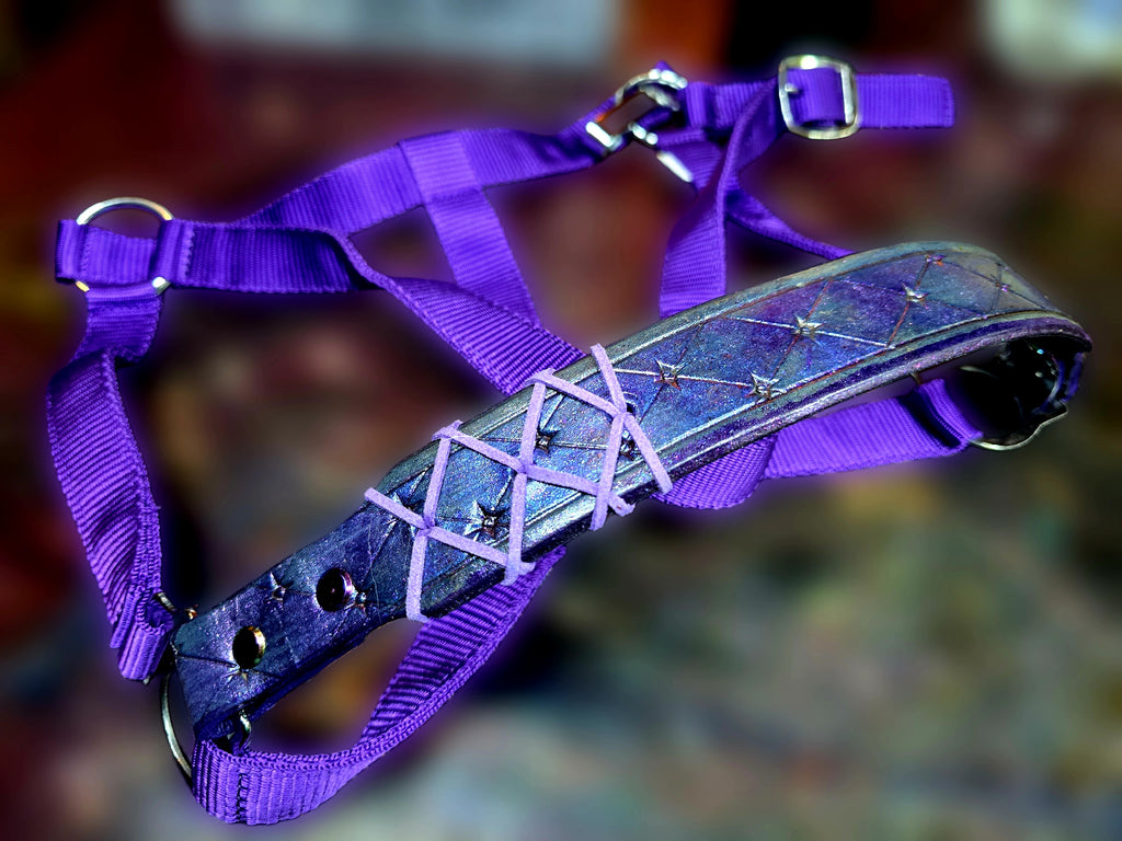 Megara Purple Halter