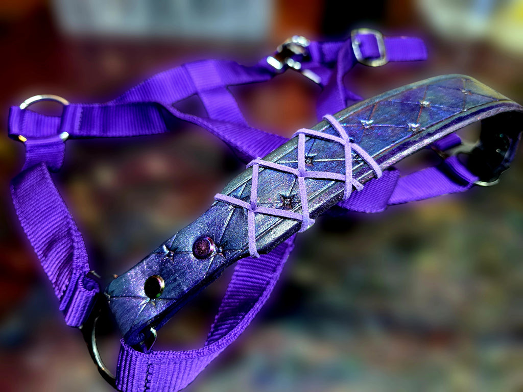 Megara Purple Halter