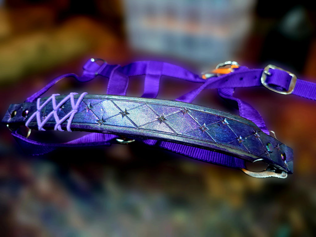 Megara Purple Halter