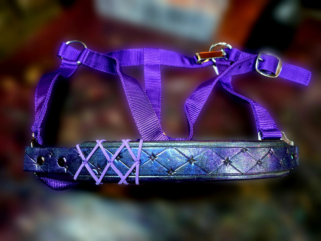 Megara Purple Halter