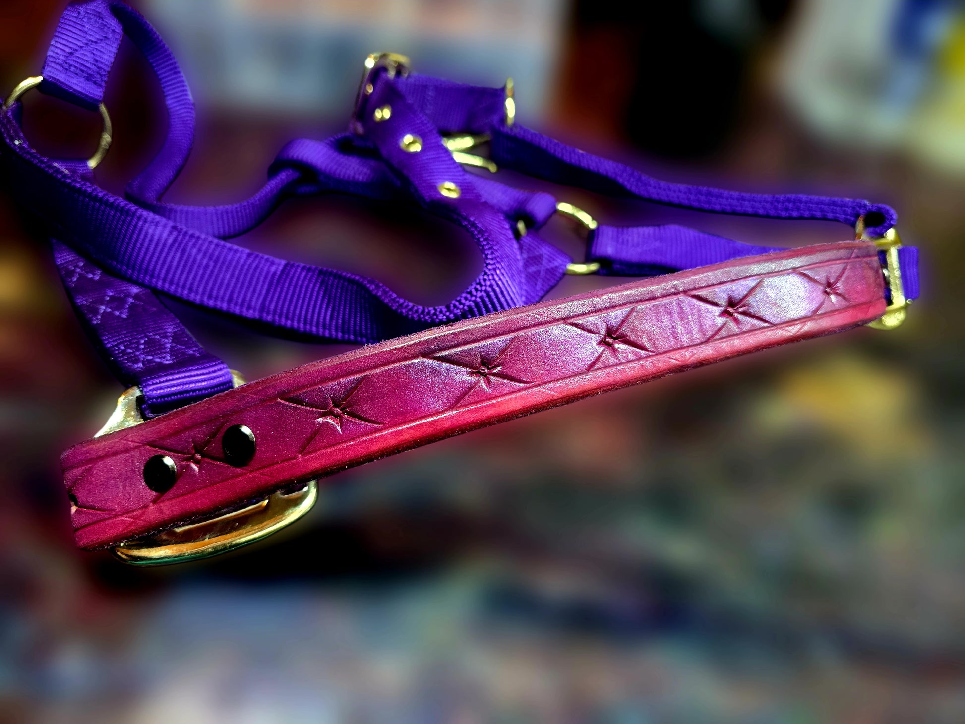 Aurora/Rapunzel Purple Halter