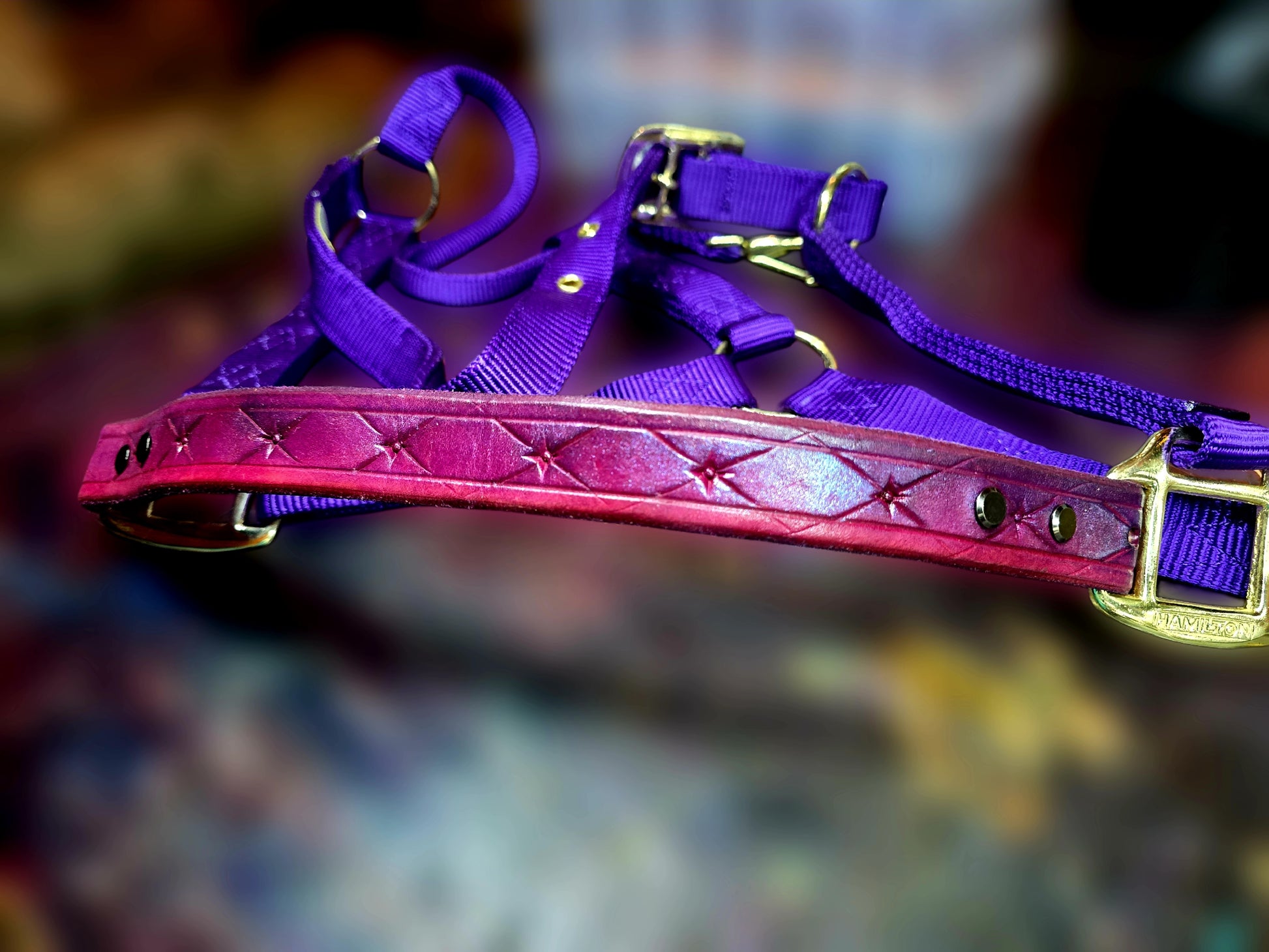 Aurora/Rapunzel Purple Halter