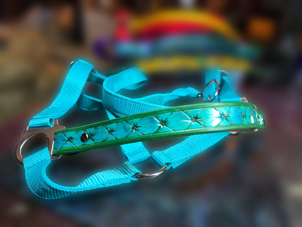 Jasmine Turquoise Halter