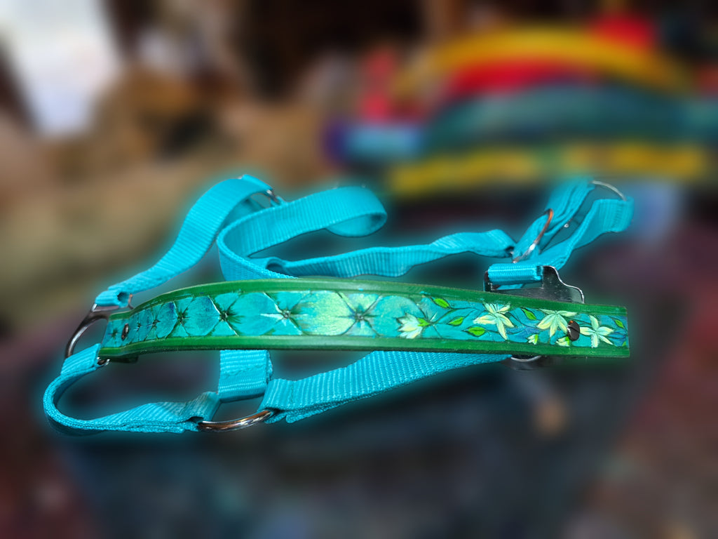 Jasmine Turquoise Halter
